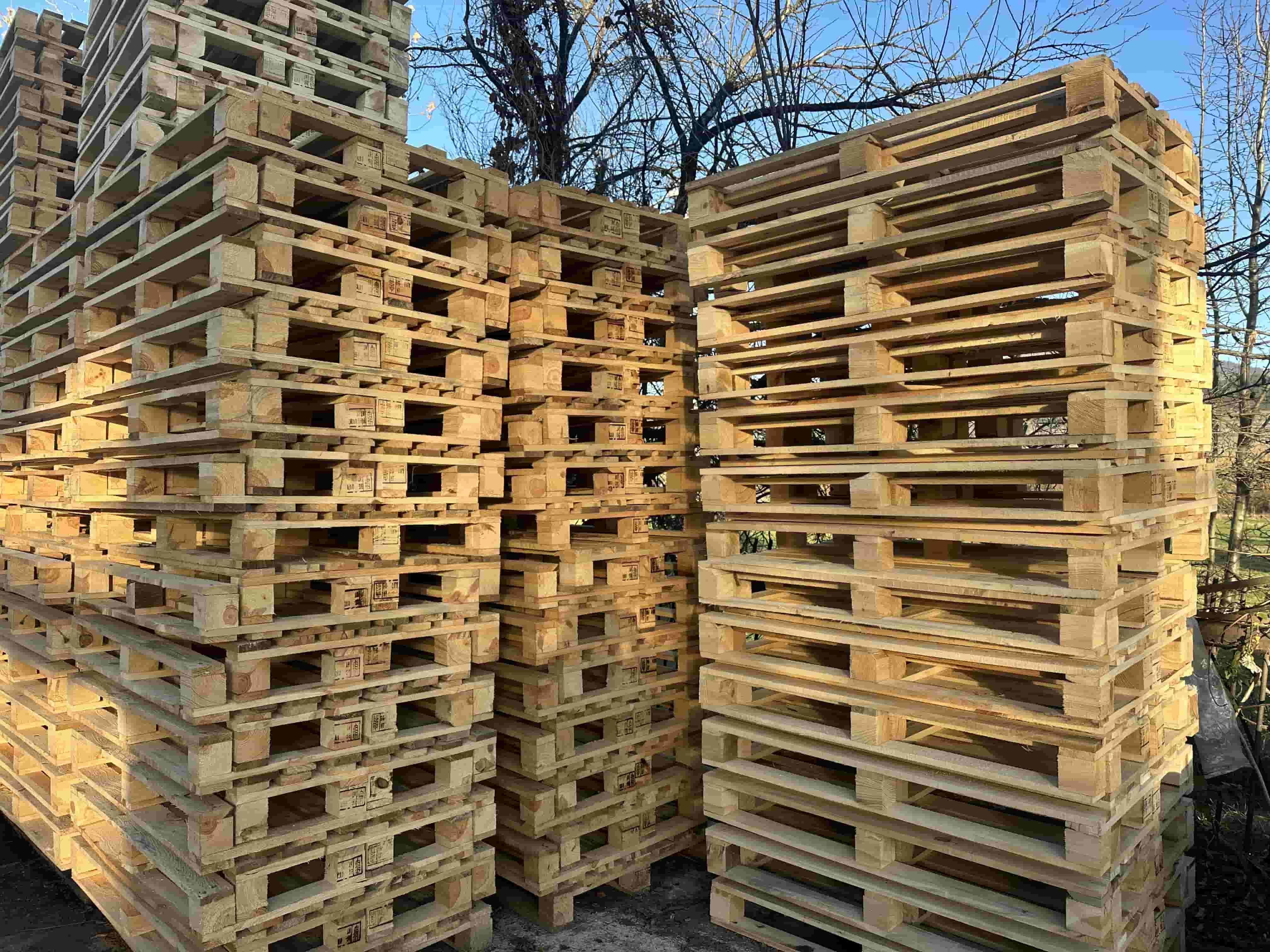 Иглолистни и широколистни палети и скари от Мариан77