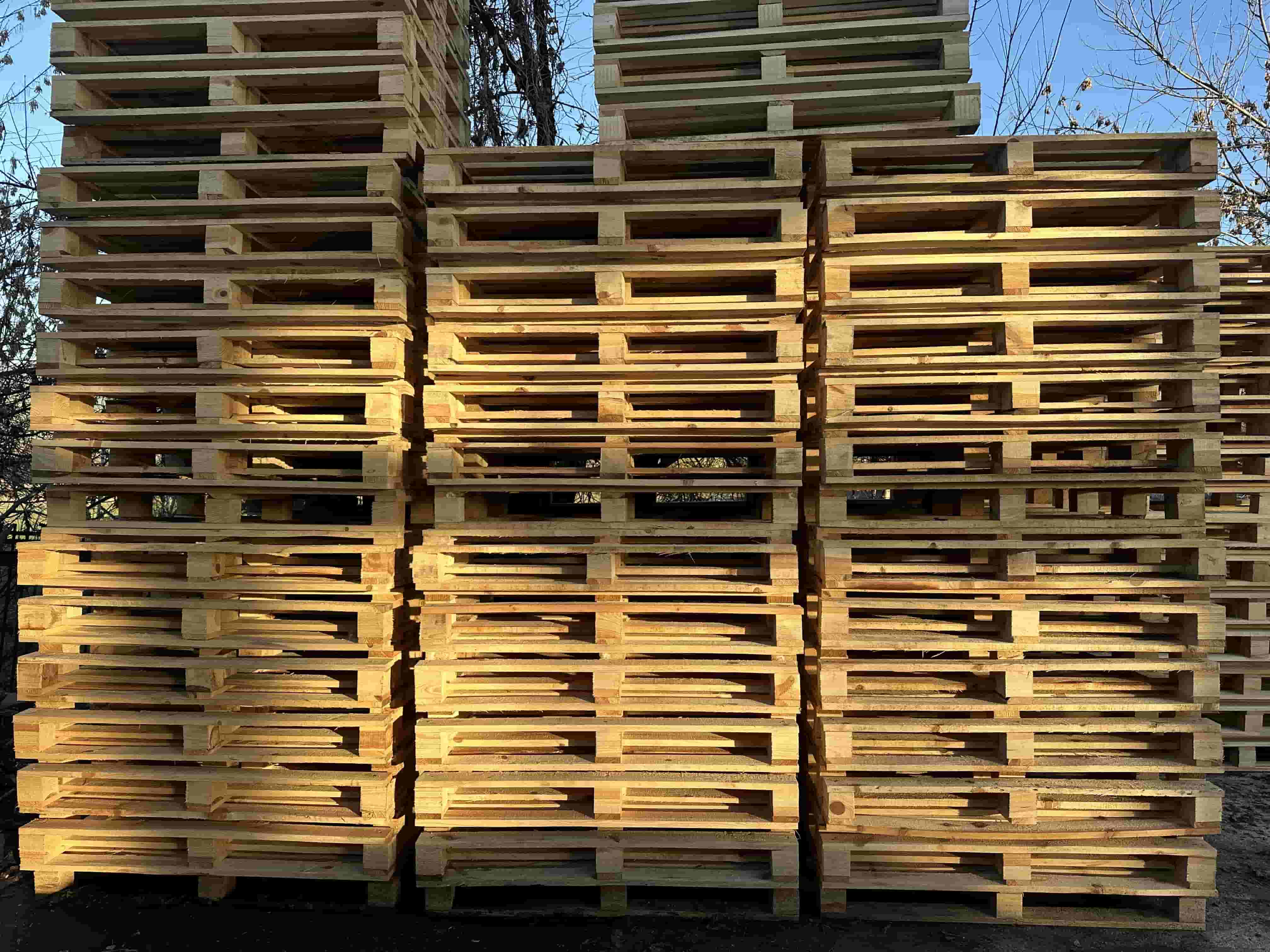 Иглолистни и широколистни палети и скари производство Мариан77