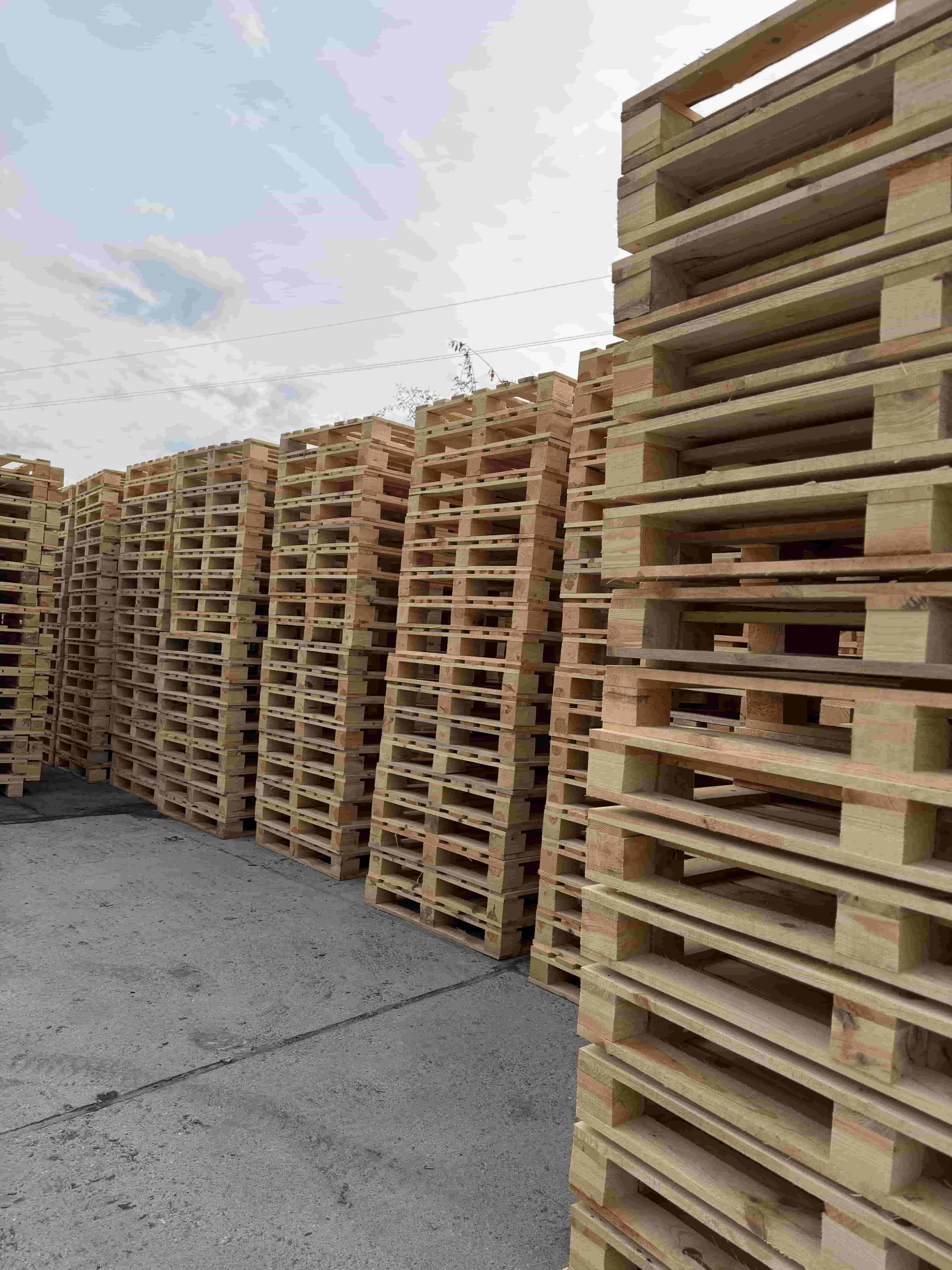 Иглолистни и широколистни палети и скари производство Мариан77