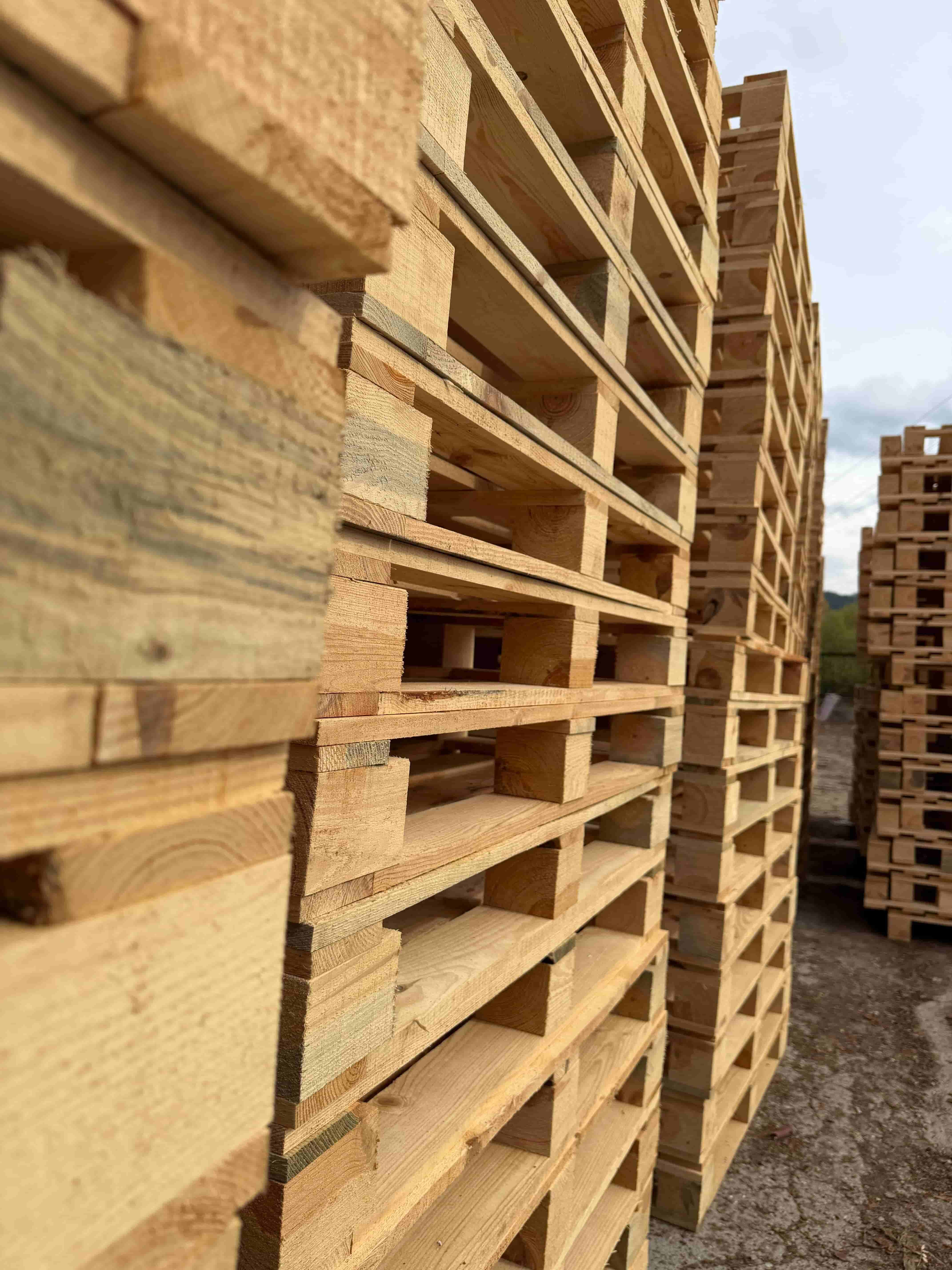 Иглолистни и широколистни палети и скари от Мариан77