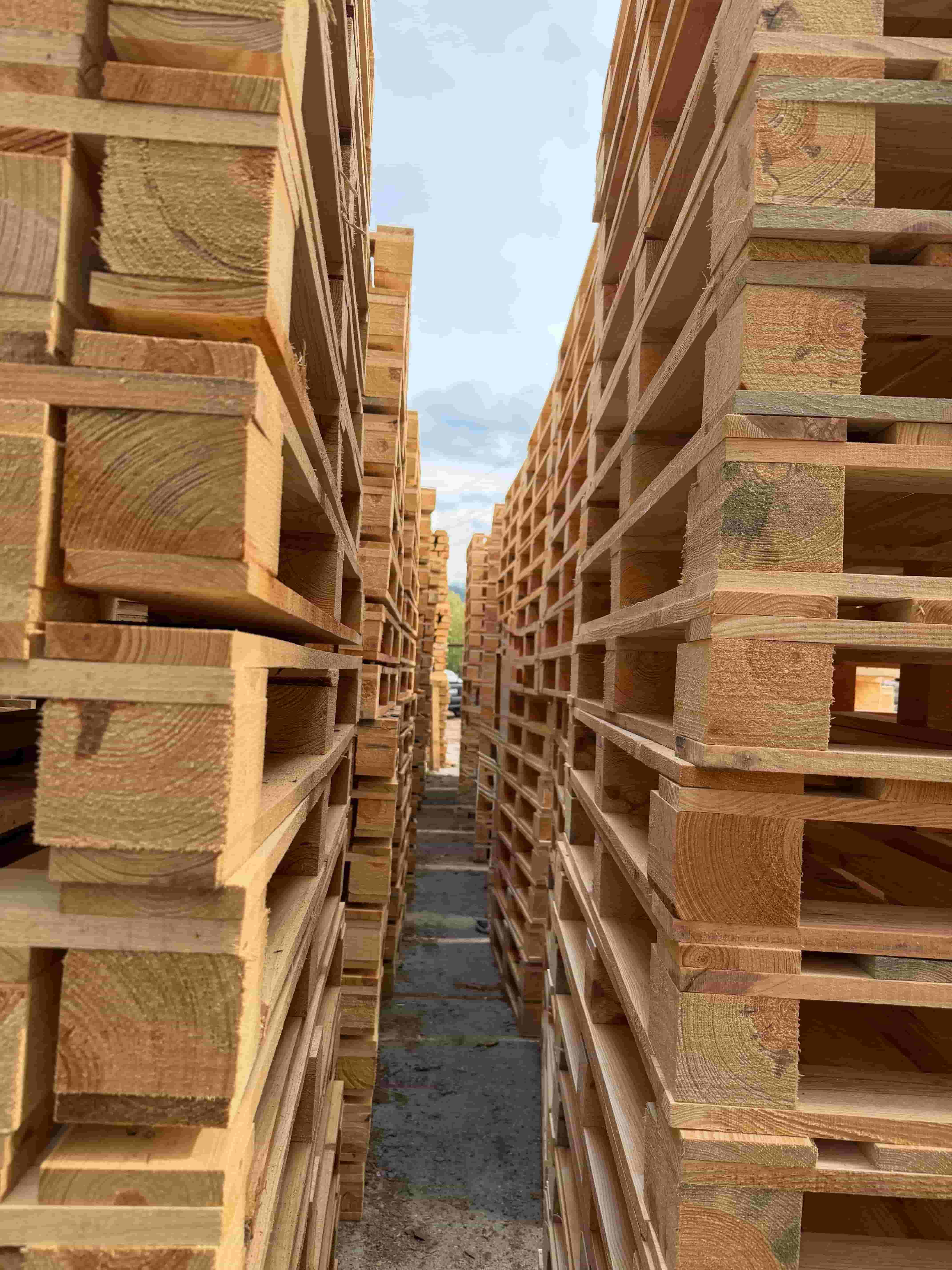 Иглолистни и широколистни палети и скари от Мариан77